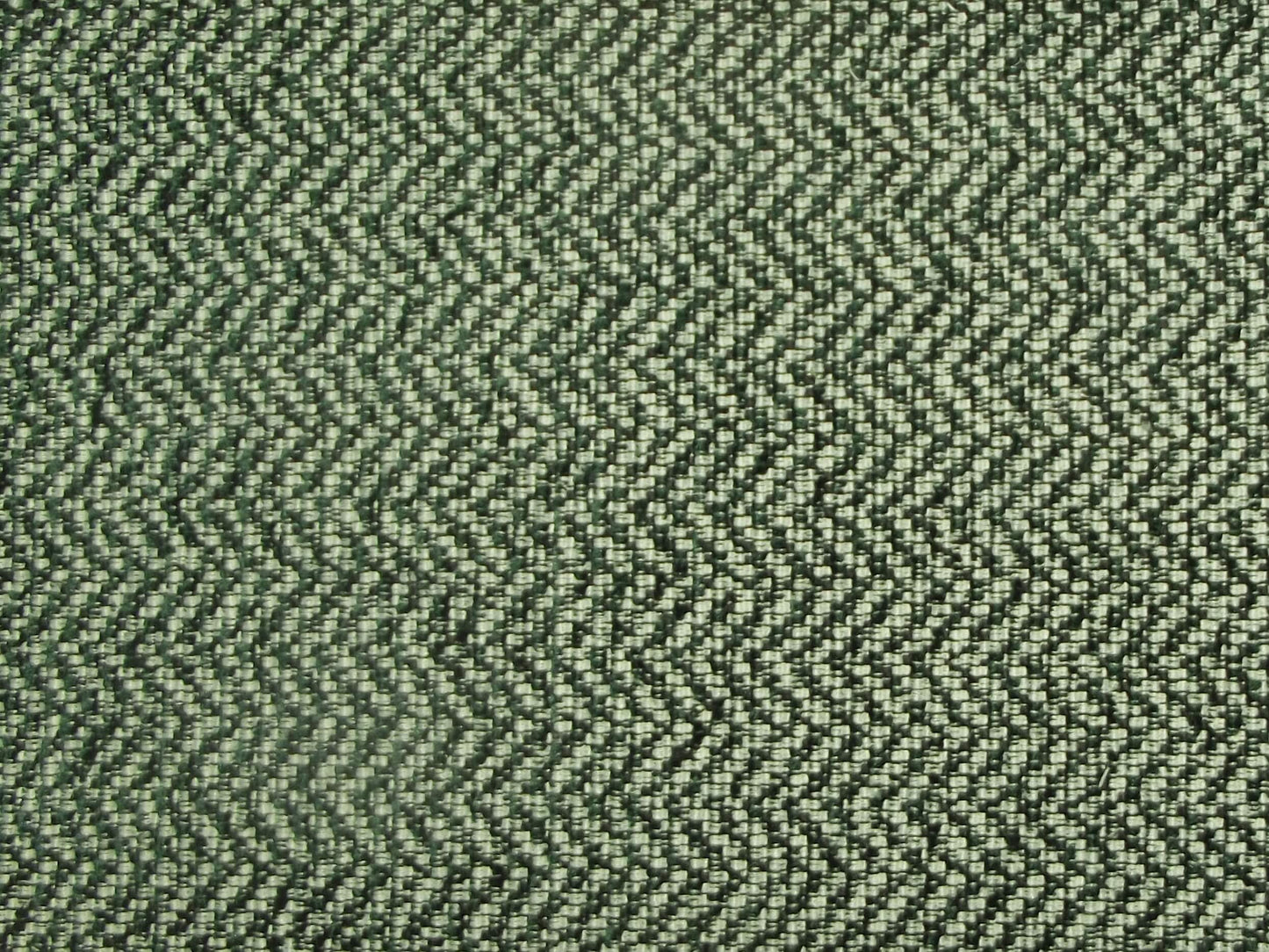 Perth Herringbone Fern