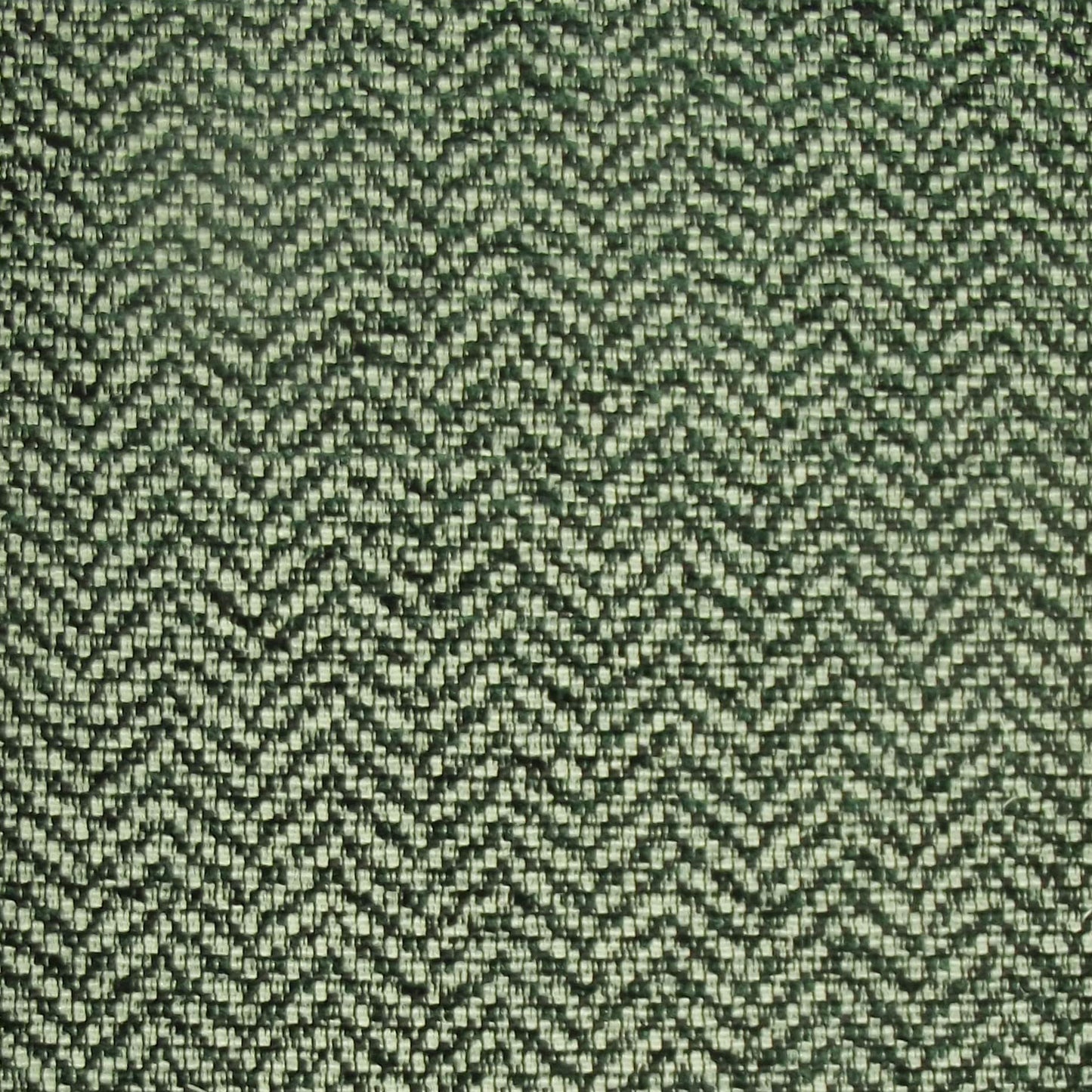 Perth Herringbone Fern
