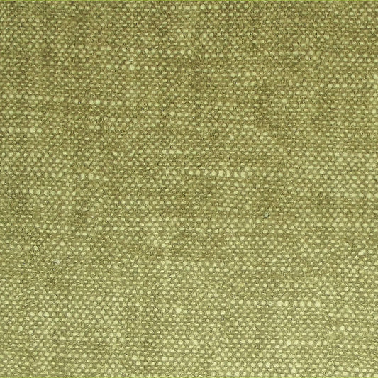 Raffles Lichen