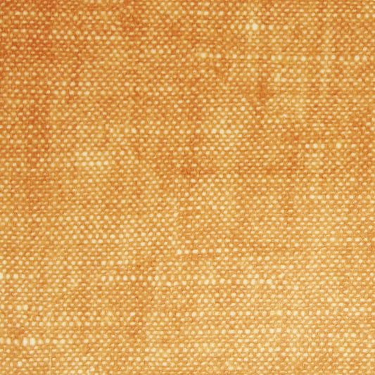 Raffles Orange