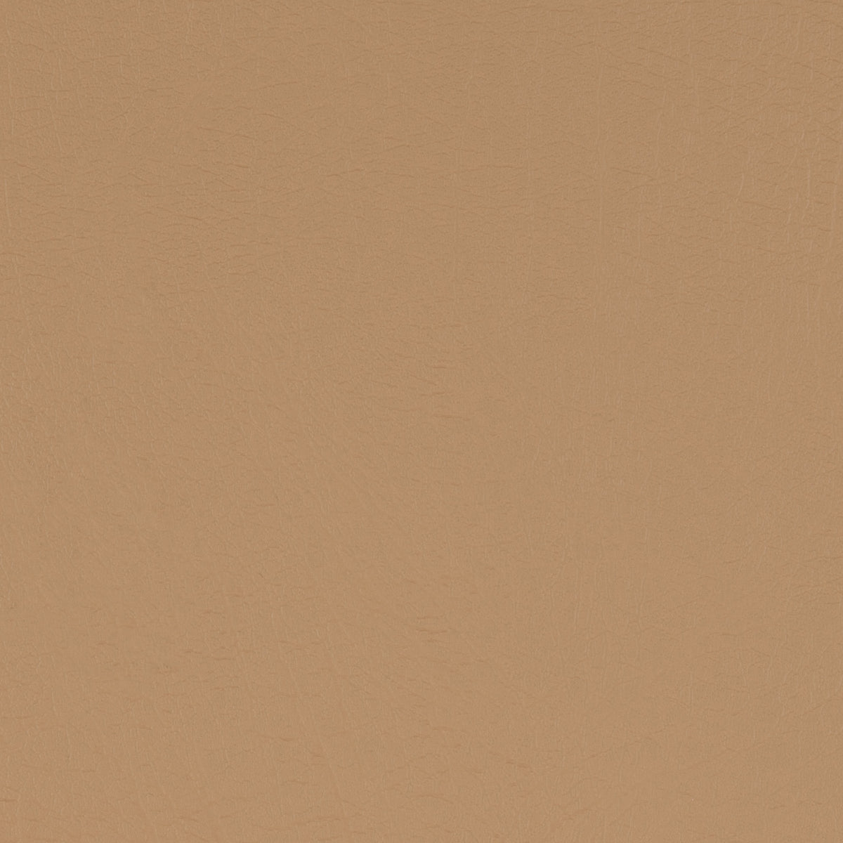 Taurus Caramel
