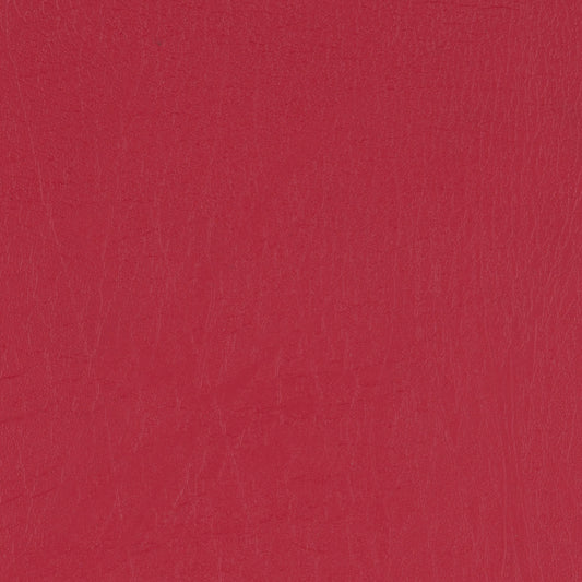 Taurus Carmine