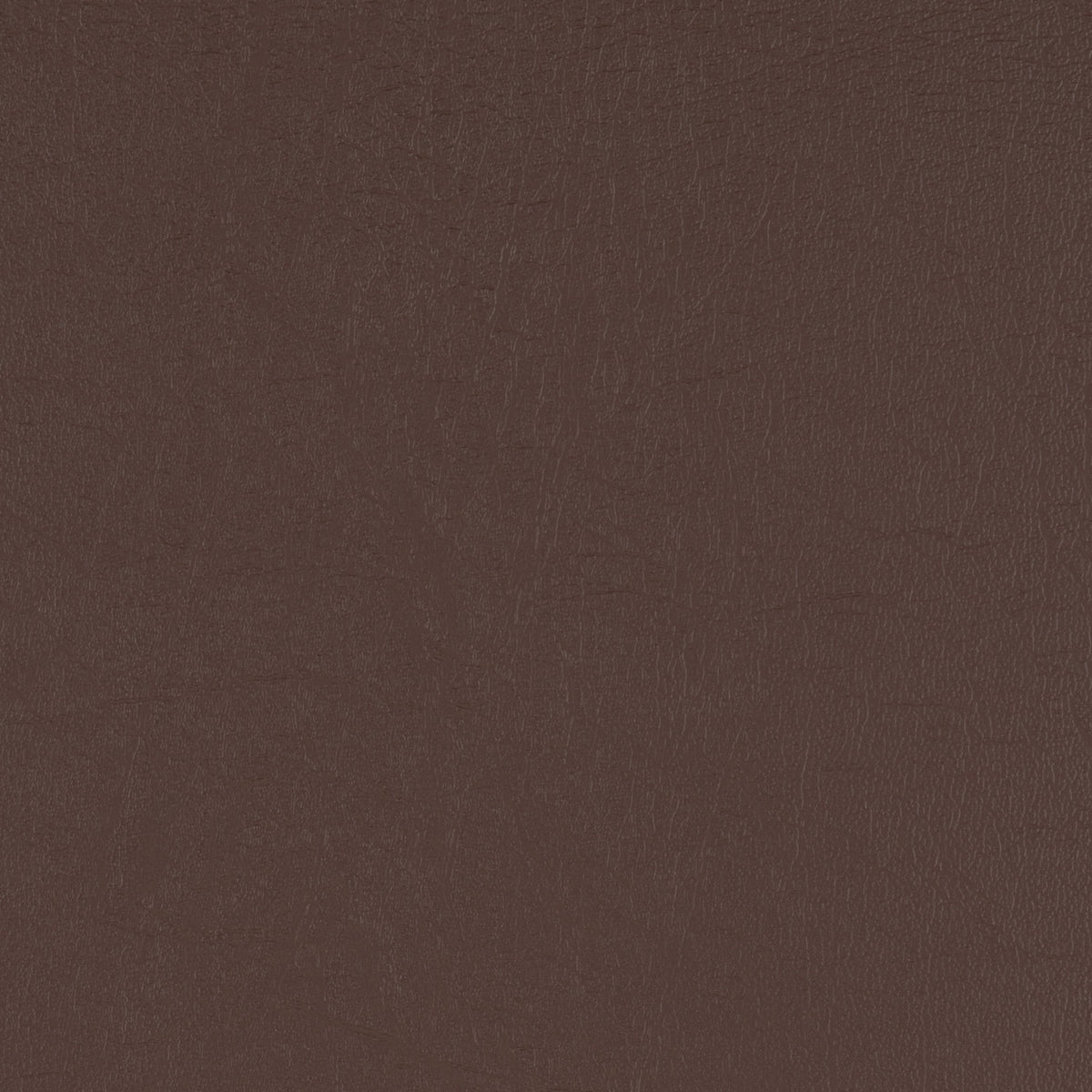 Taurus Chocolate