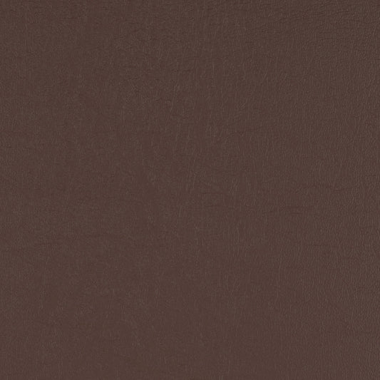 Taurus Chocolate