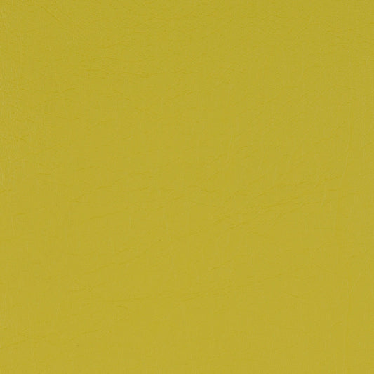 Taurus Citrus