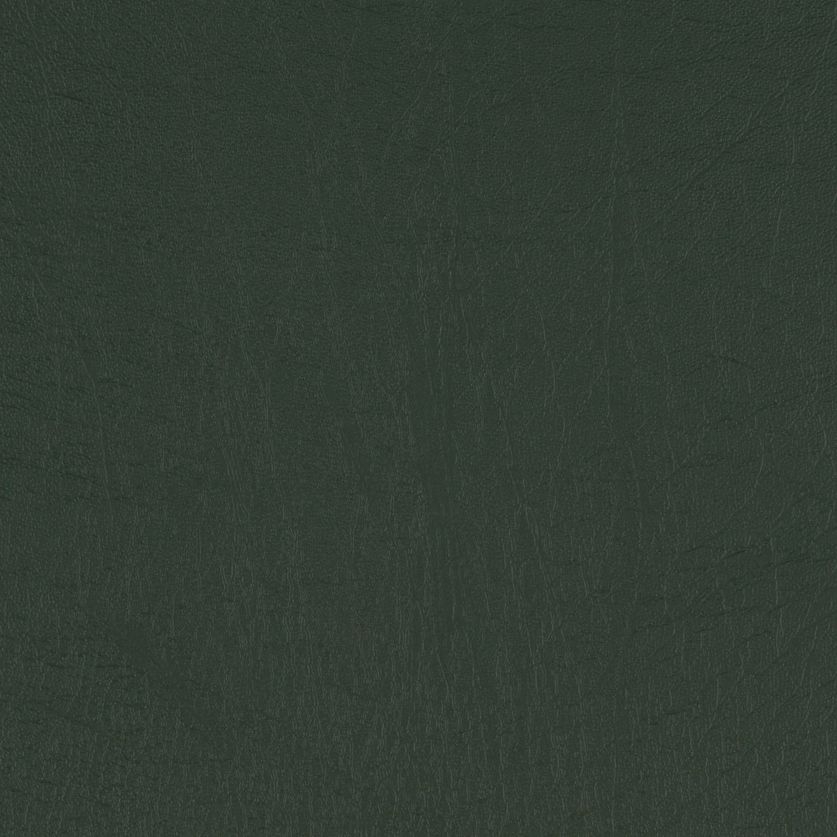 Taurus Conifer