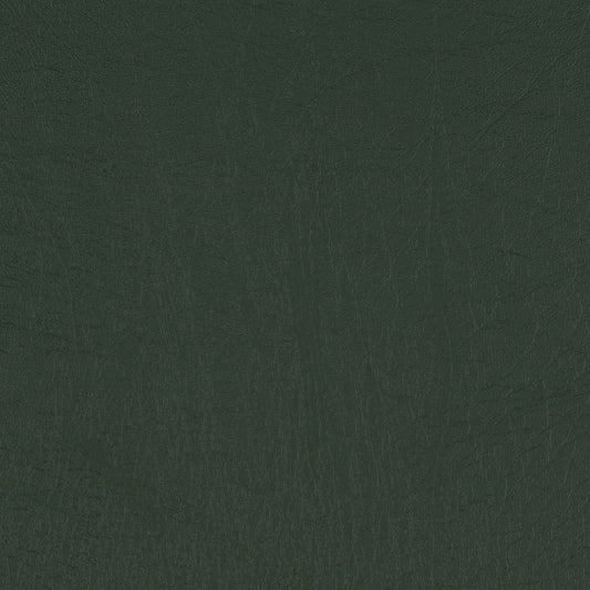 Taurus Conifer