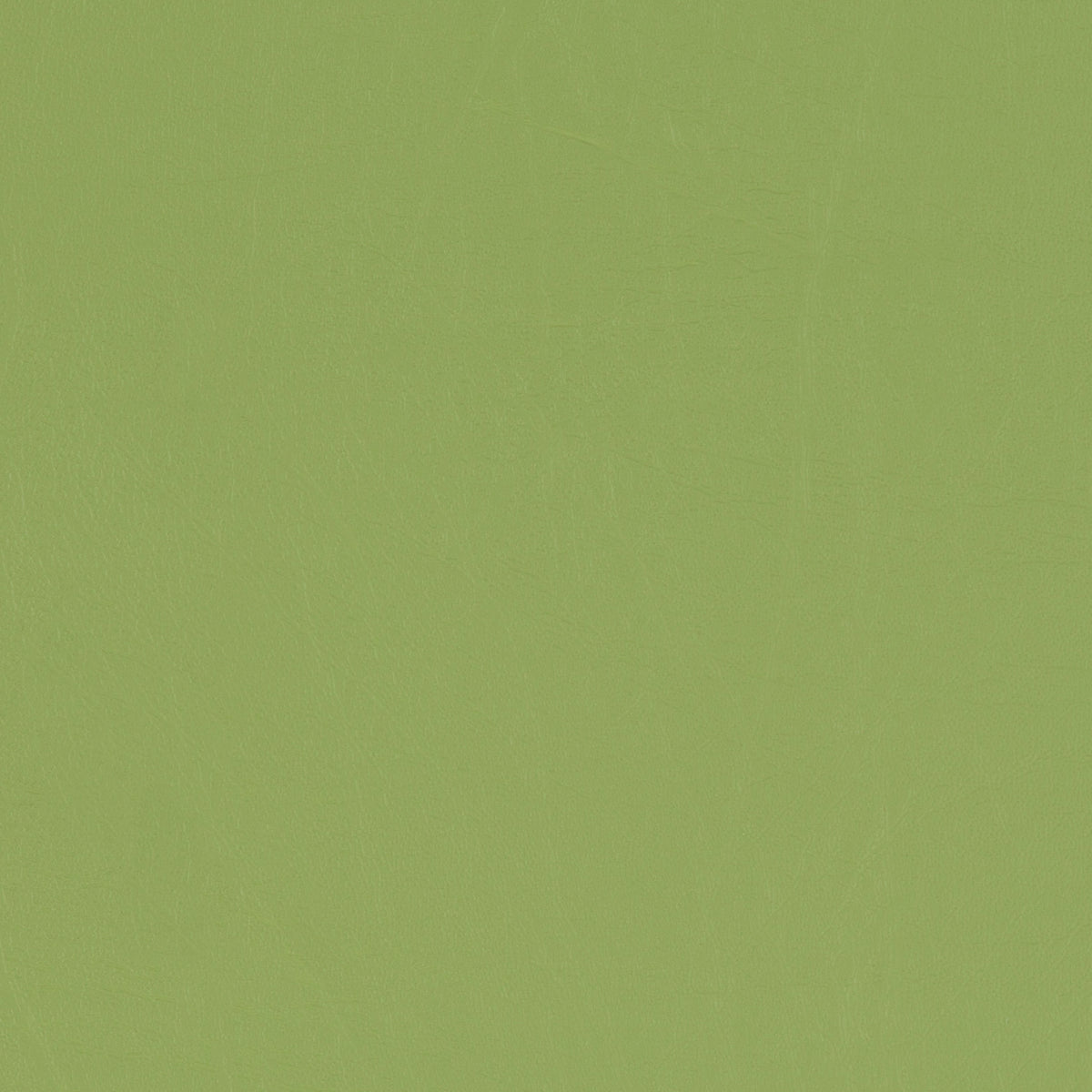 Taurus Grass