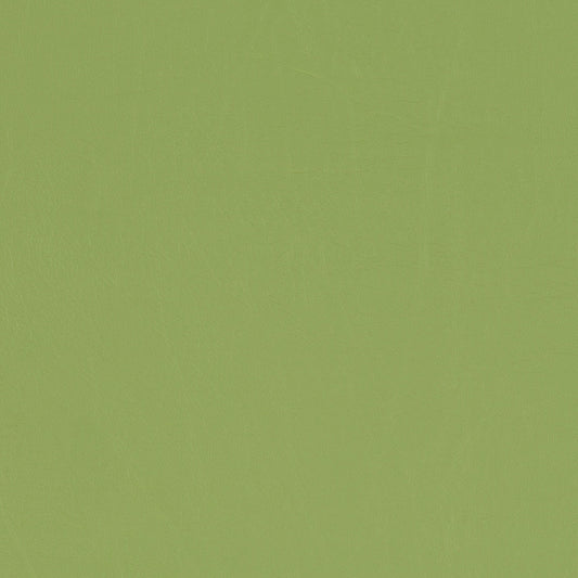 Taurus Grass