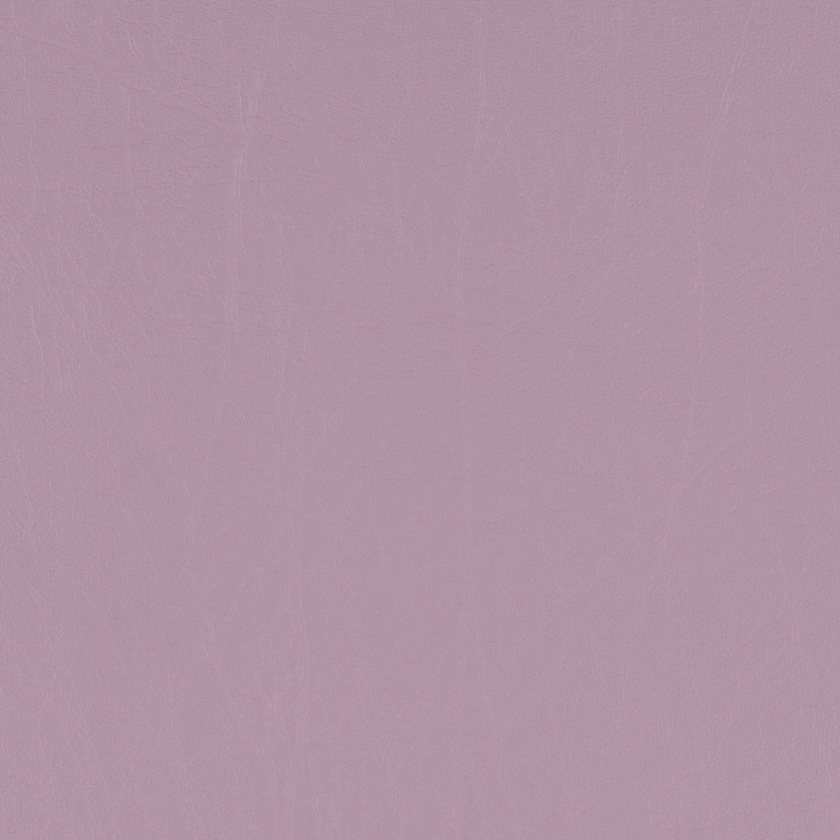 Taurus Lilac