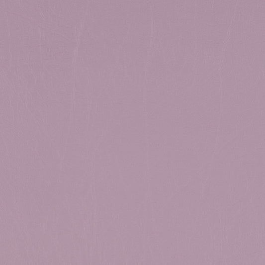 Taurus Lilac
