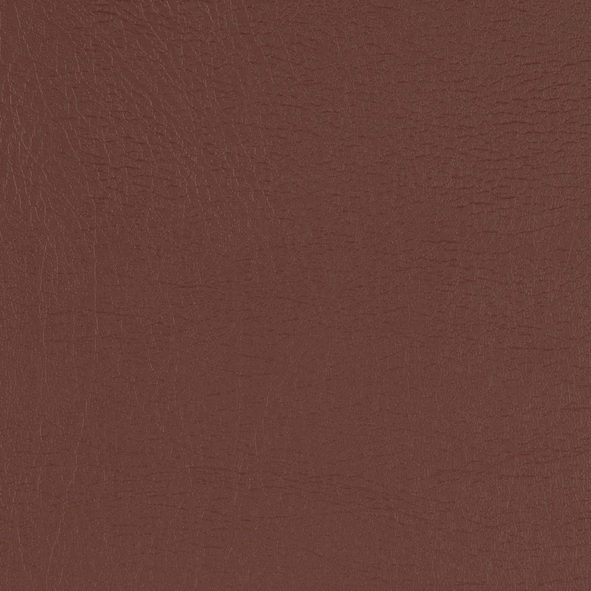 Taurus Mocha
