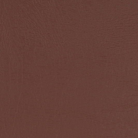 Taurus Mocha