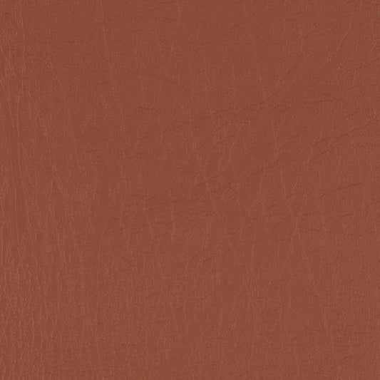Taurus Tan