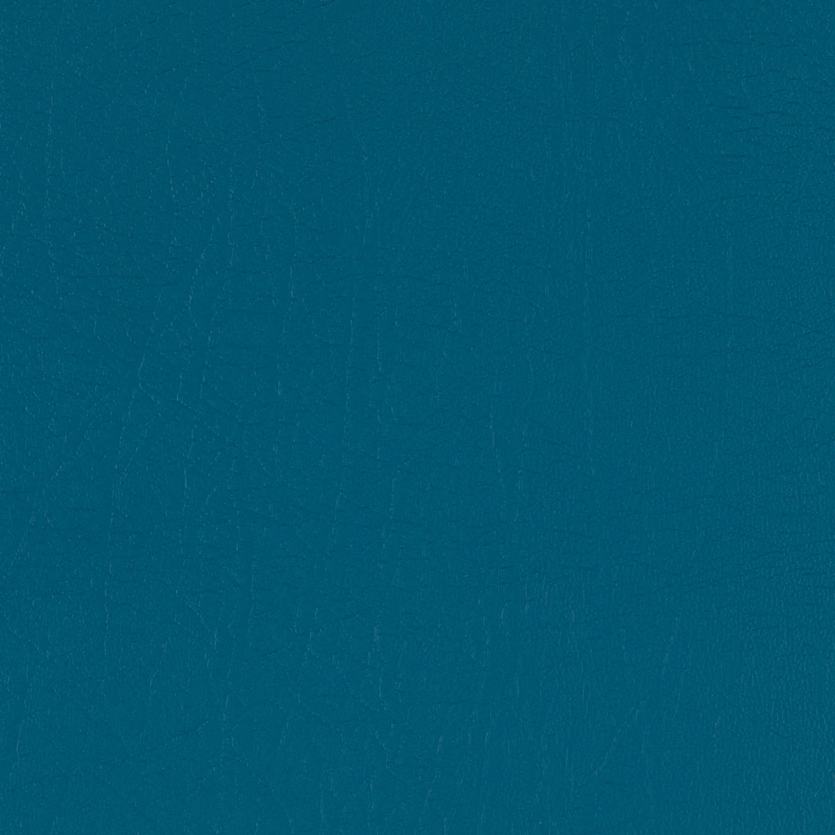 Taurus Teal