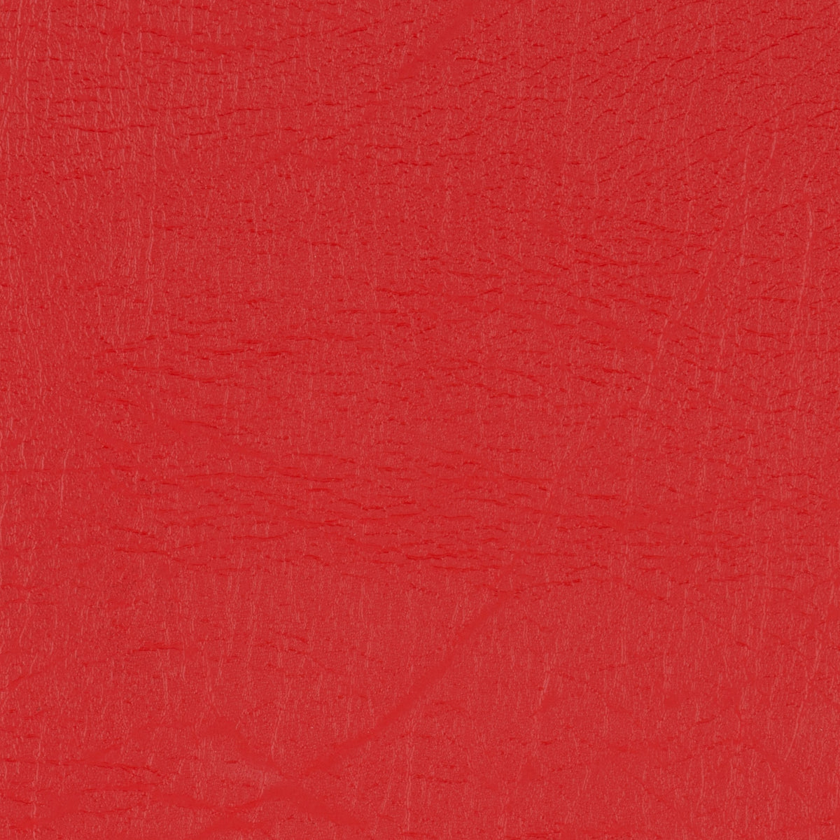 Taurus Tomato