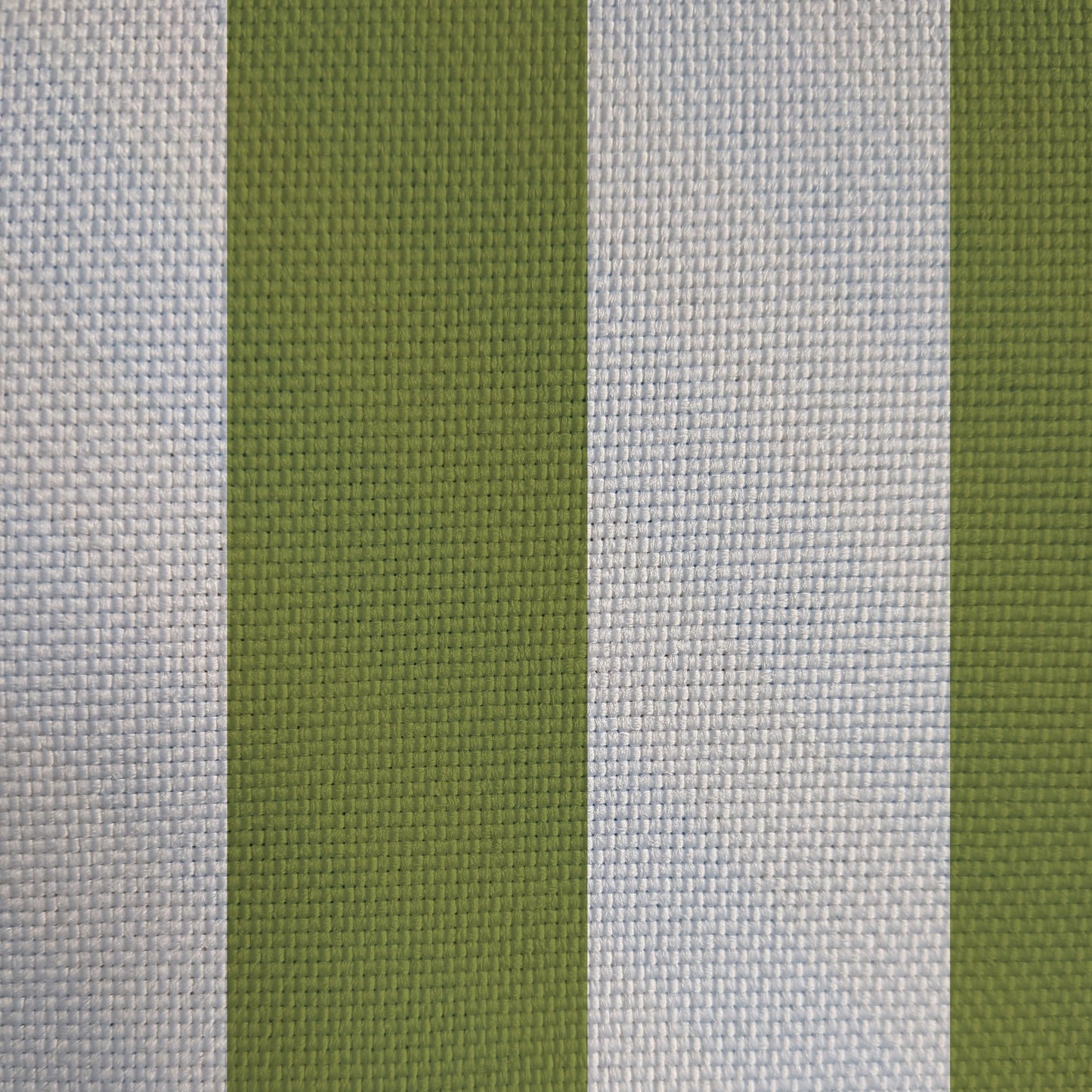 Midi Stripe Fern